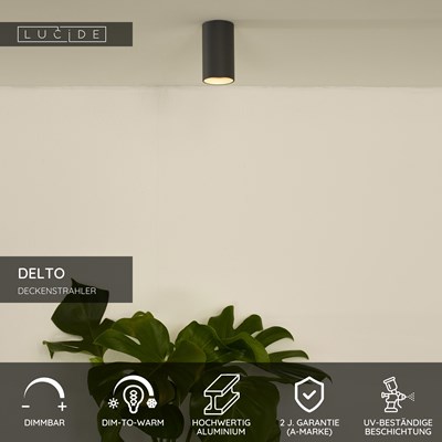 Lucide DELTO - Deckenstrahler - Ø 5,5 cm - LED Dim to warm - GU10 - 1x5W 2200K/3000K - Grau